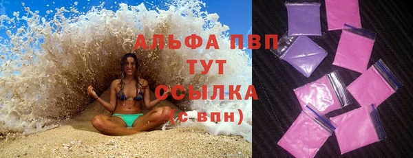 прущие грибы Армянск