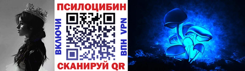 Галлюциногенные грибы Psilocybe  где продают   Рыльск 